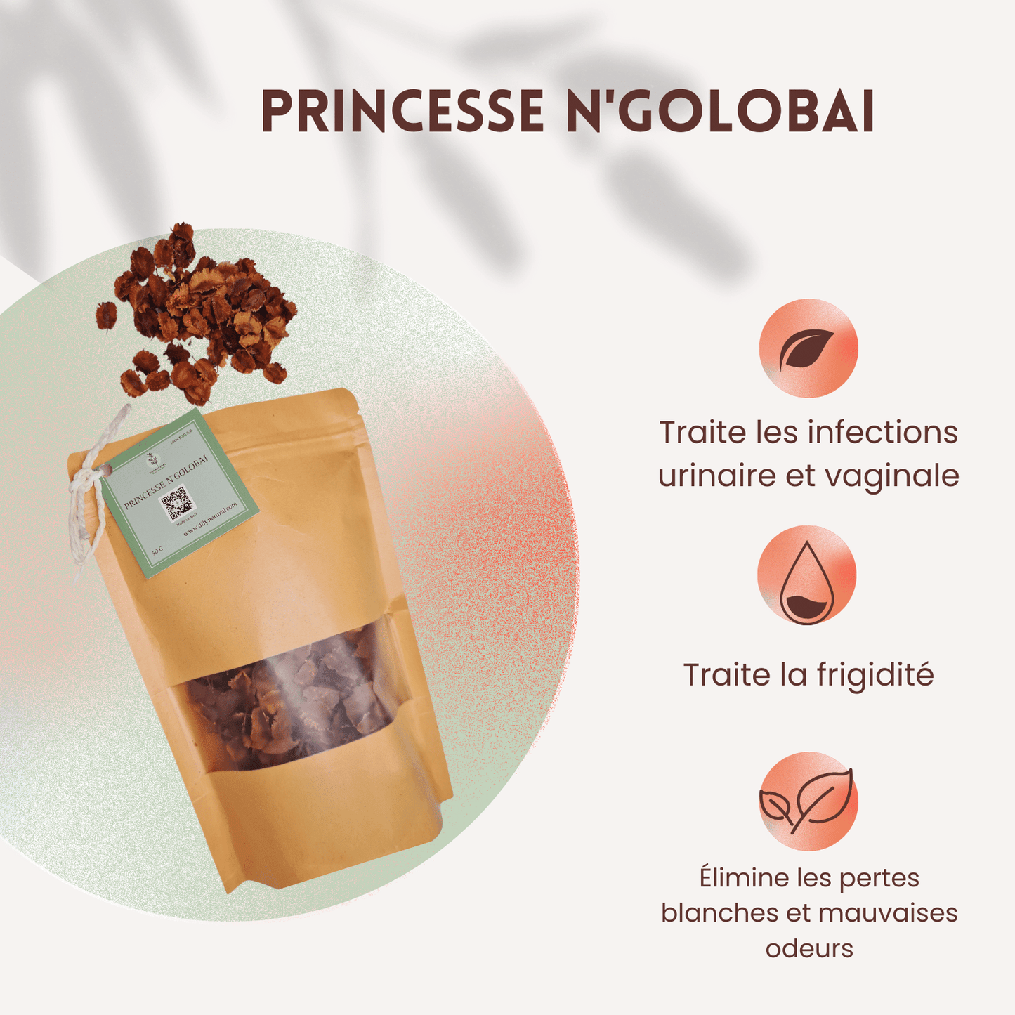 Princesse N'golobai